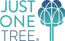 Just one tree