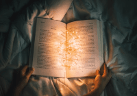 Your Stories
