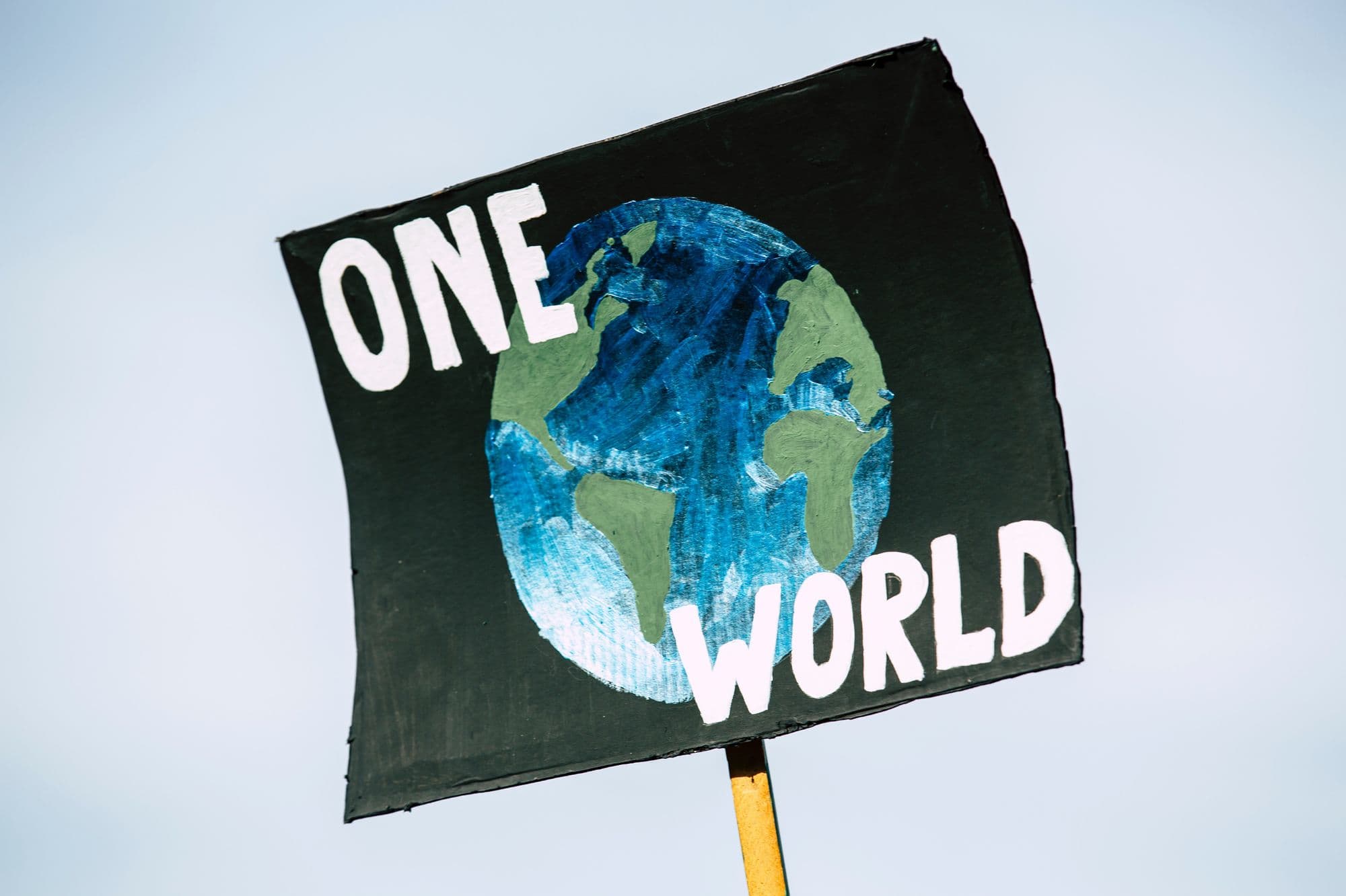 5 everyday things you can do to tackle climate change