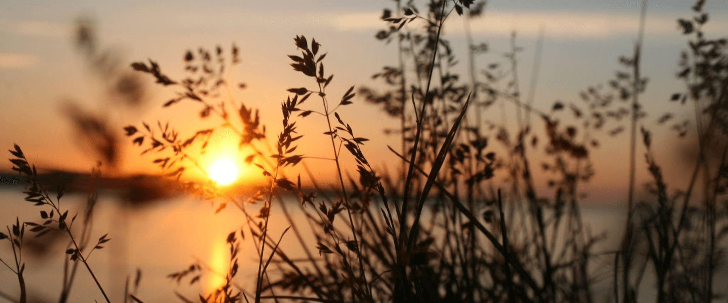 Project Soothe: the global photography project helping to induce a calm mind