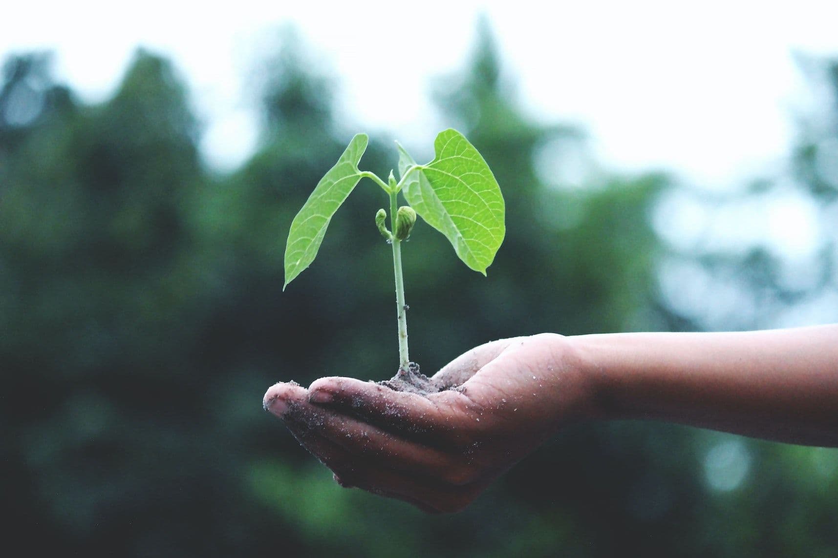 5 surprising eco innovations you need to know about