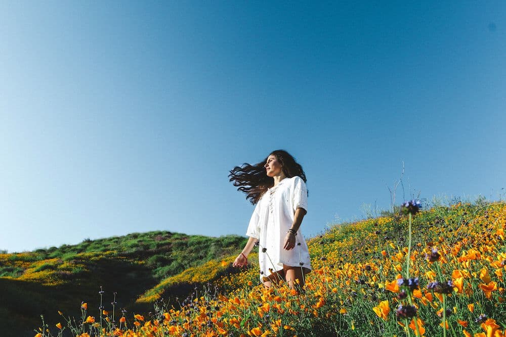 Revolutionise your wellbeing with rewilding