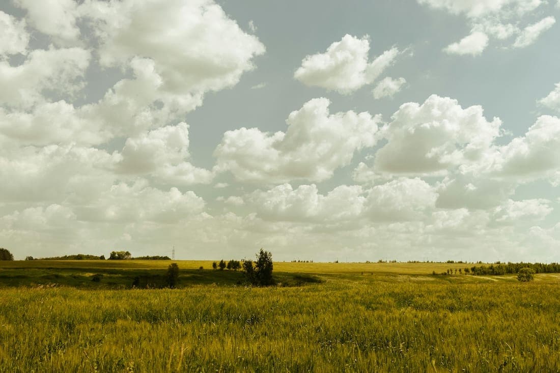 Nature-deficit disorder (and how to treat it)