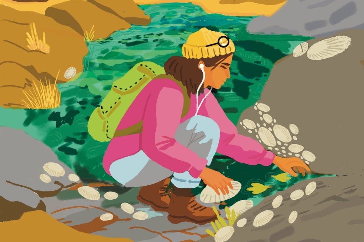 The citizen science projects supporting more than just wildlife