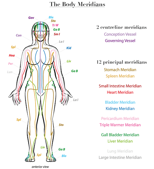This is an image of the body's meridians