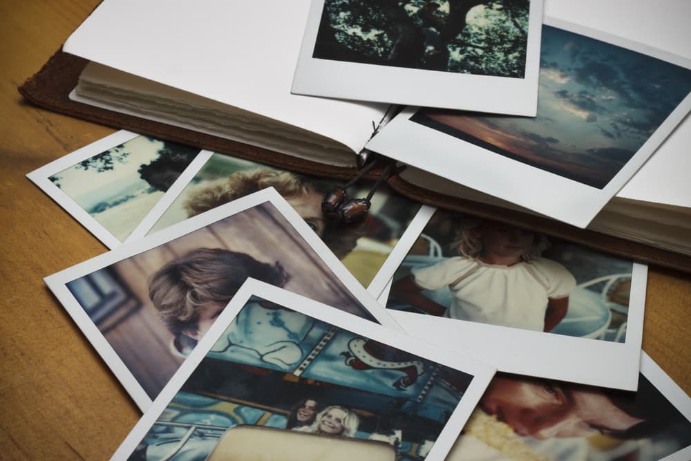 Photographs