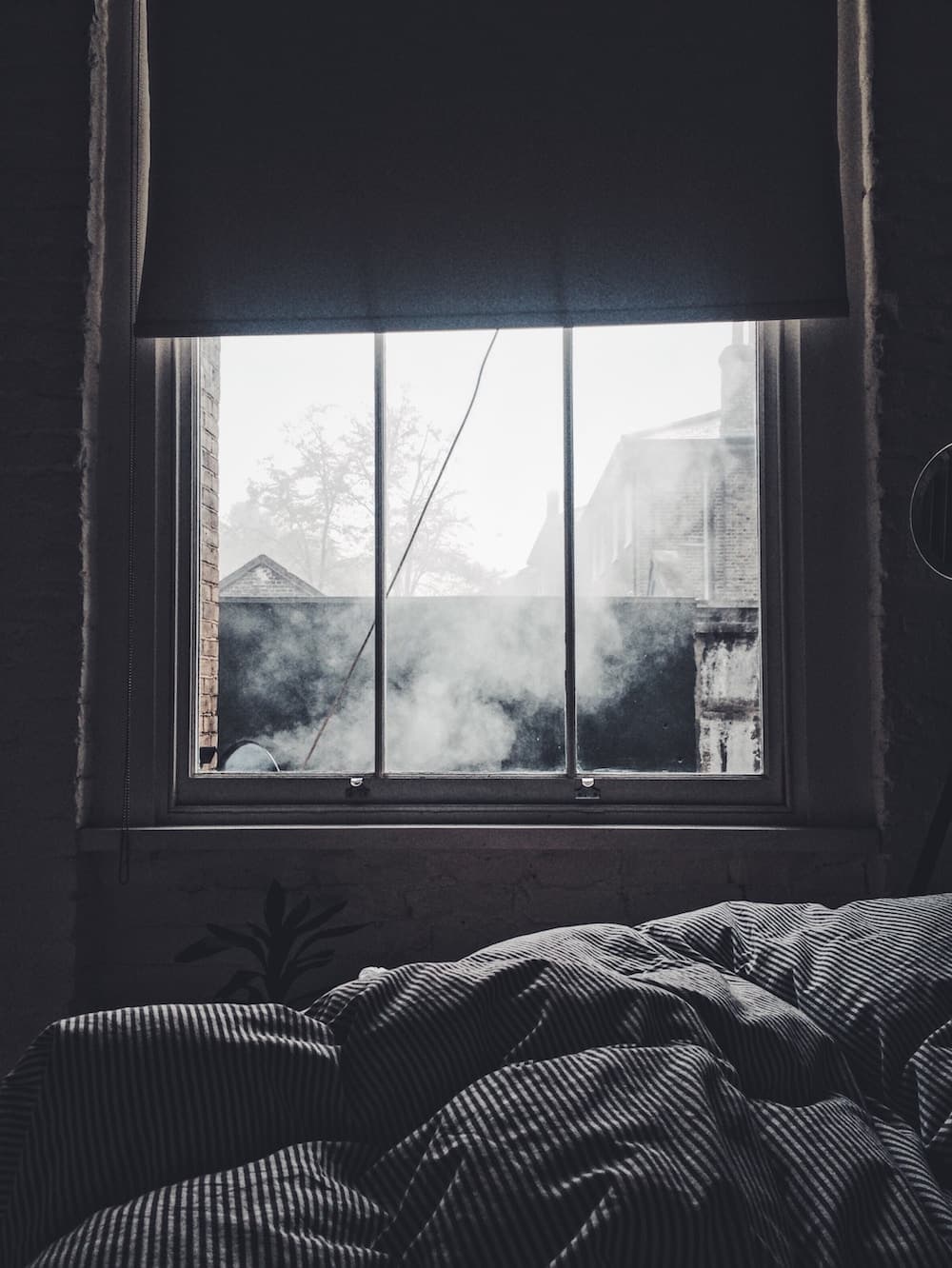 window