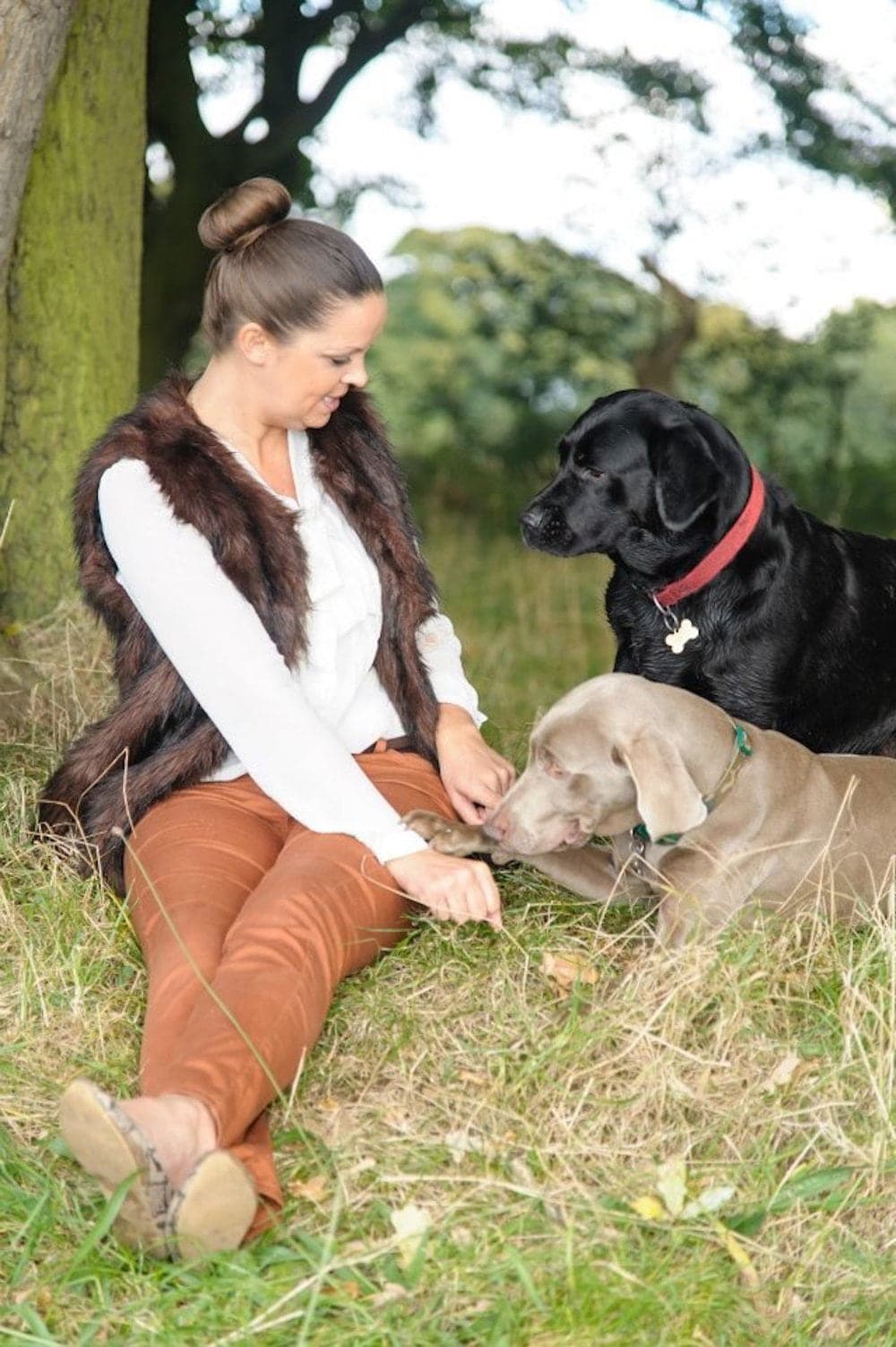 Joe with her dogs