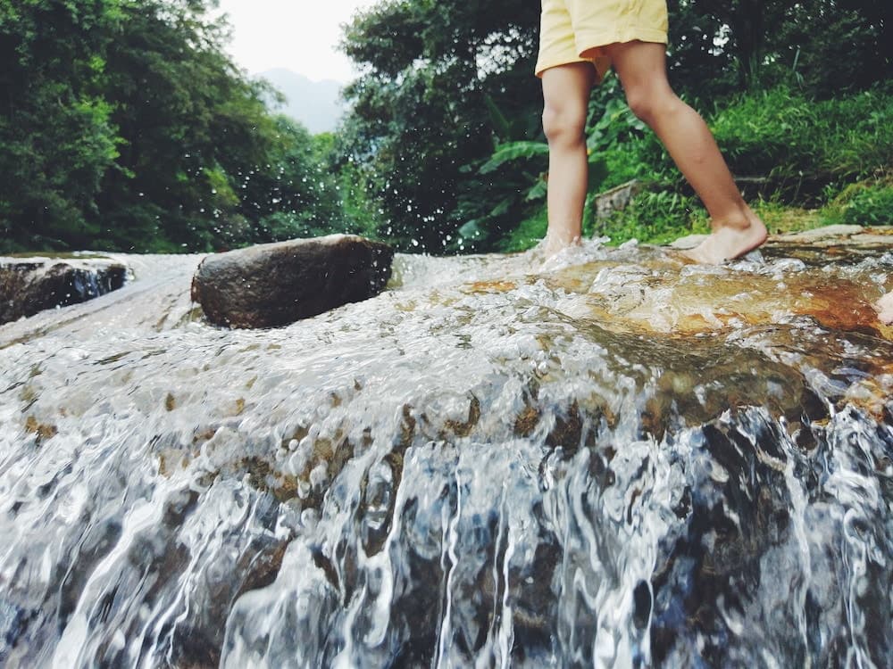 walking through river in forest
