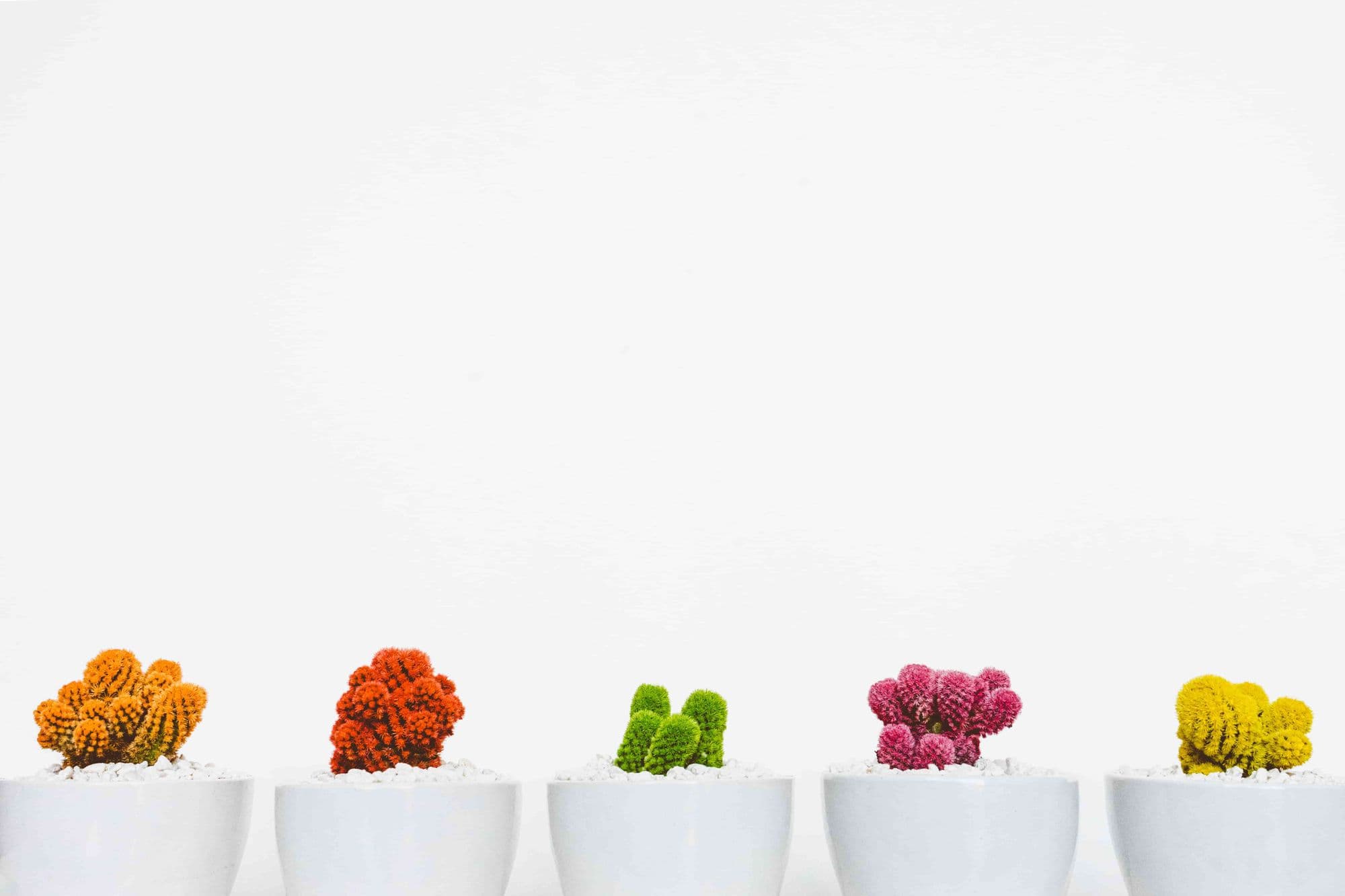 3 Ways to Declutter Your Home and Mind from Around the World