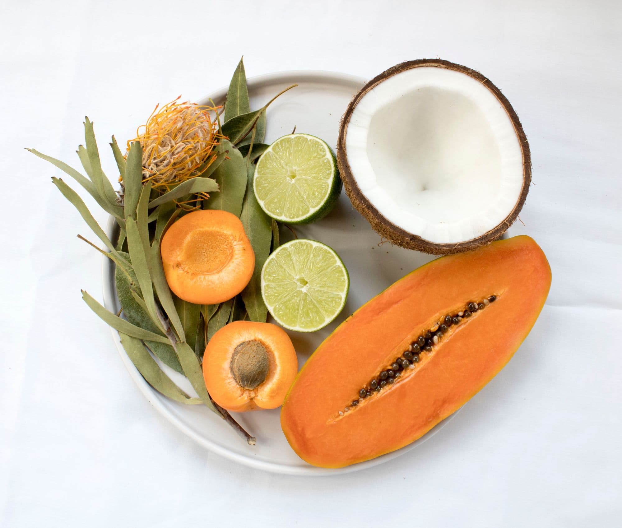 Ask the Expert: How Can I Support My Immune System in Isolation?
