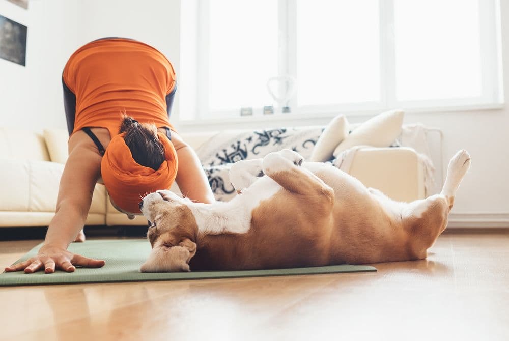 How to choose an online exercise class that best suits you