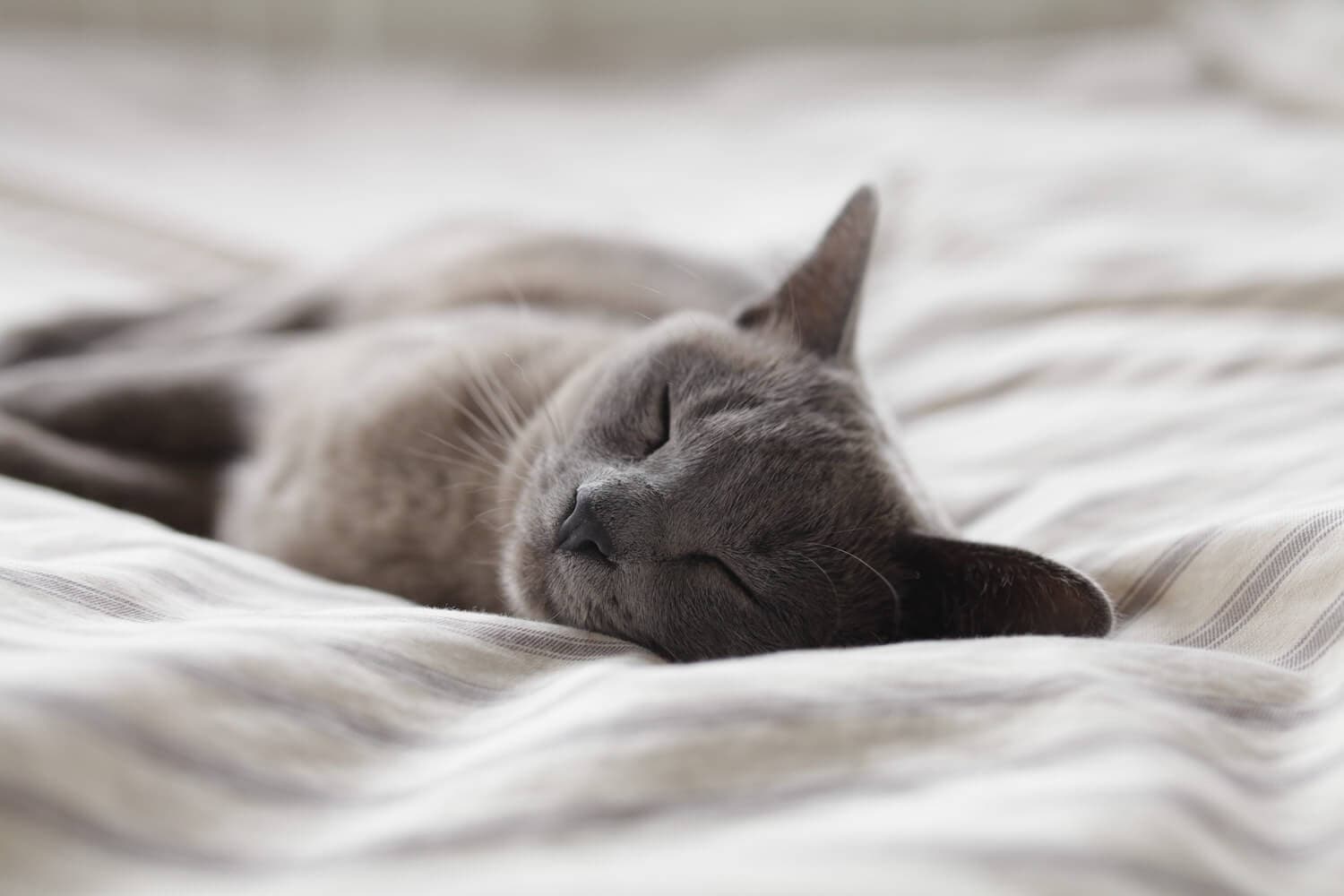 Why lockdown is affecting your sleep with 5 tips to help