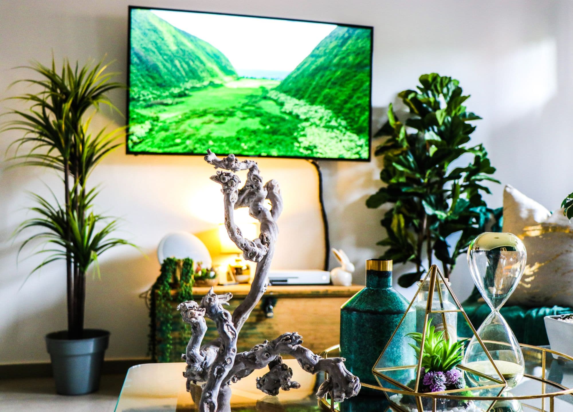 Watching nature documentaries boosts wellbeing, study finds