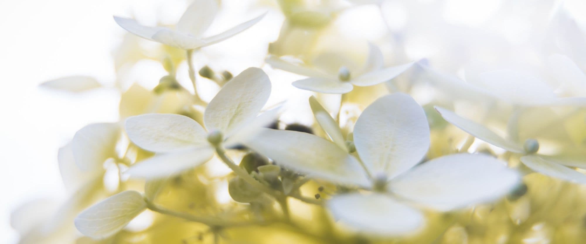 6 tips on how to talk about baby loss and support a grieving friend