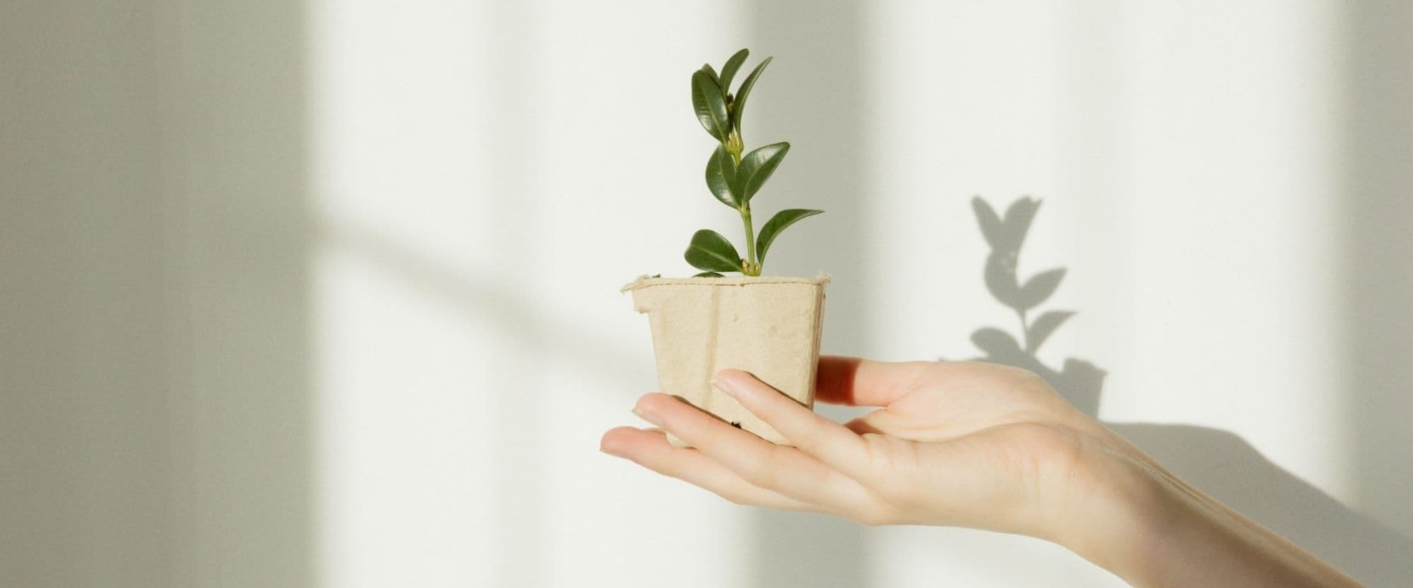 Greenwashing: what is it and how is it preventing businesses from making a real difference to our planet?