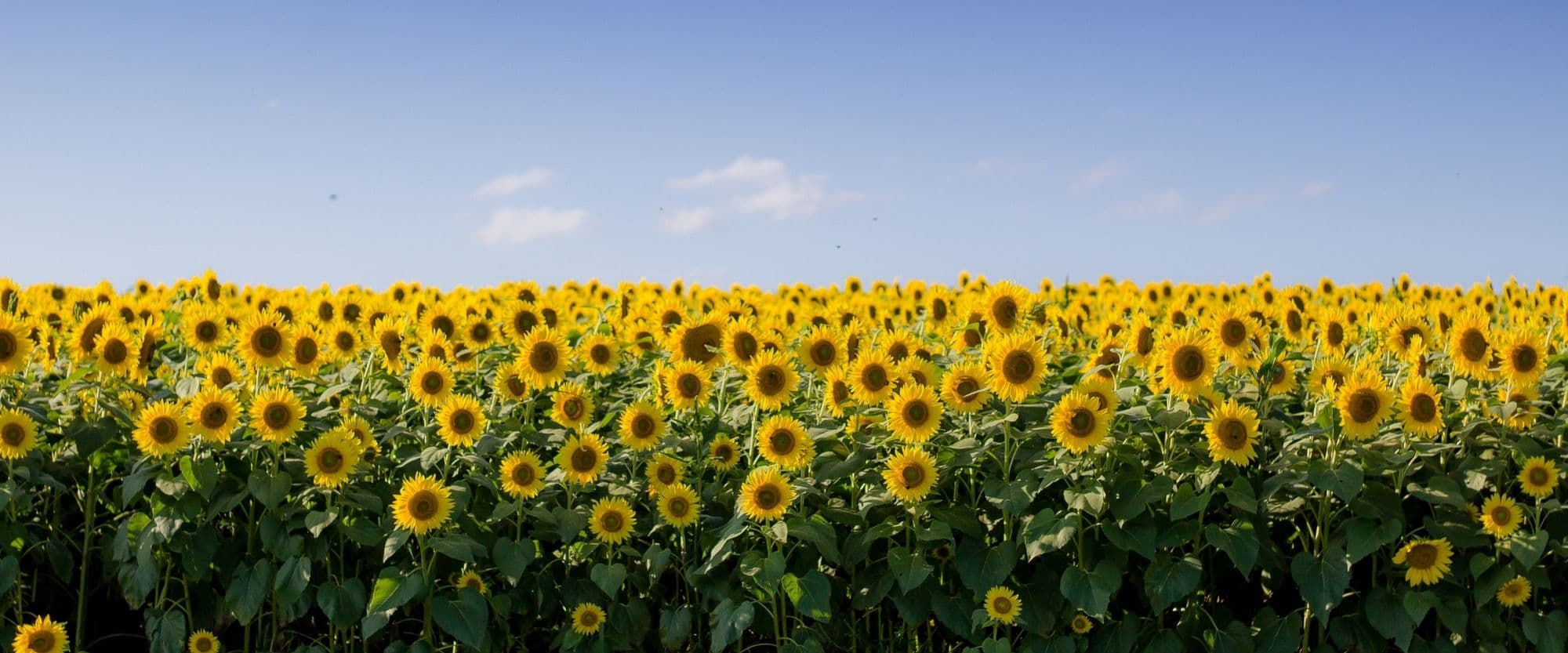 Grace Victory shares 4 simple ways to find a moment for mindfulness in your daily routine
