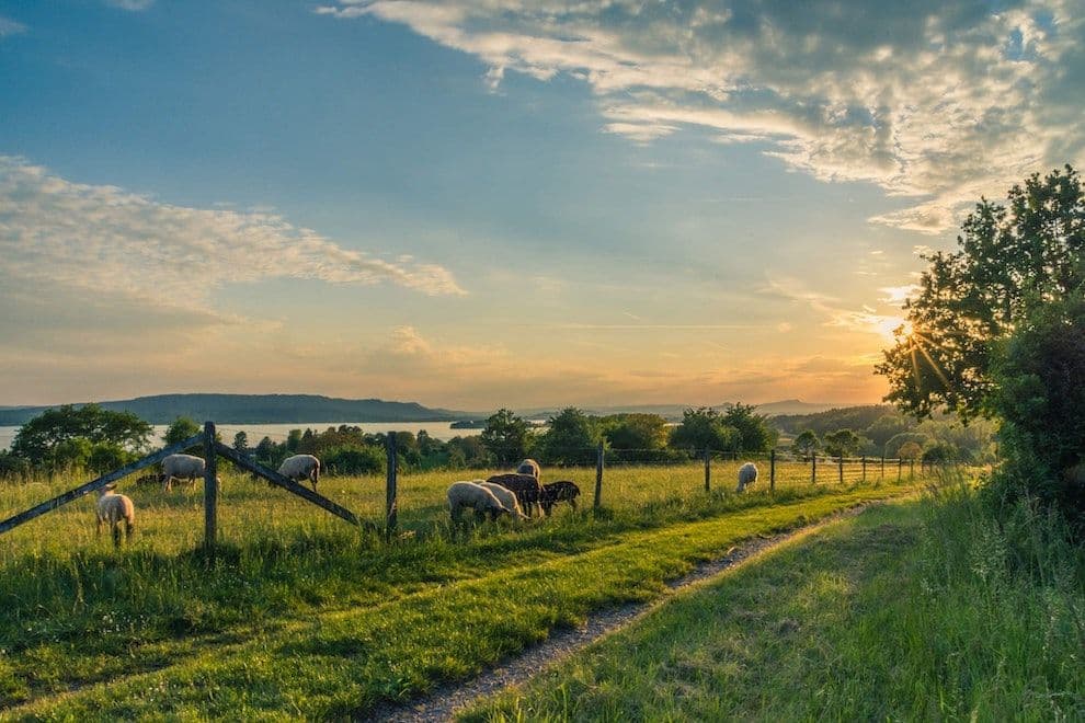 Discover the rural services helping to cultivate positive wellbeing
