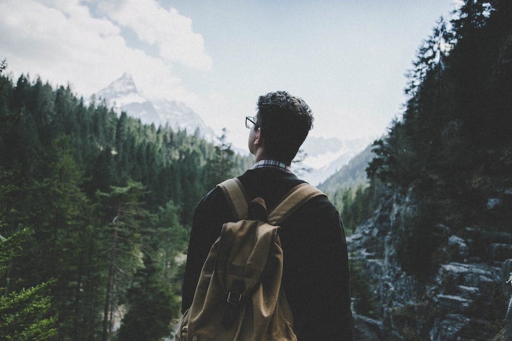 pexels-lucas-allmann-442559.jpg