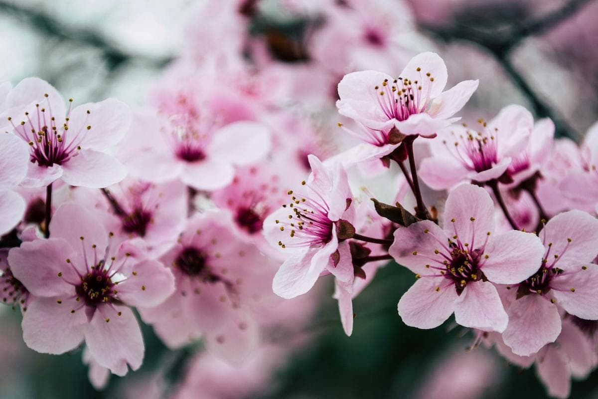 The magic of microseasons