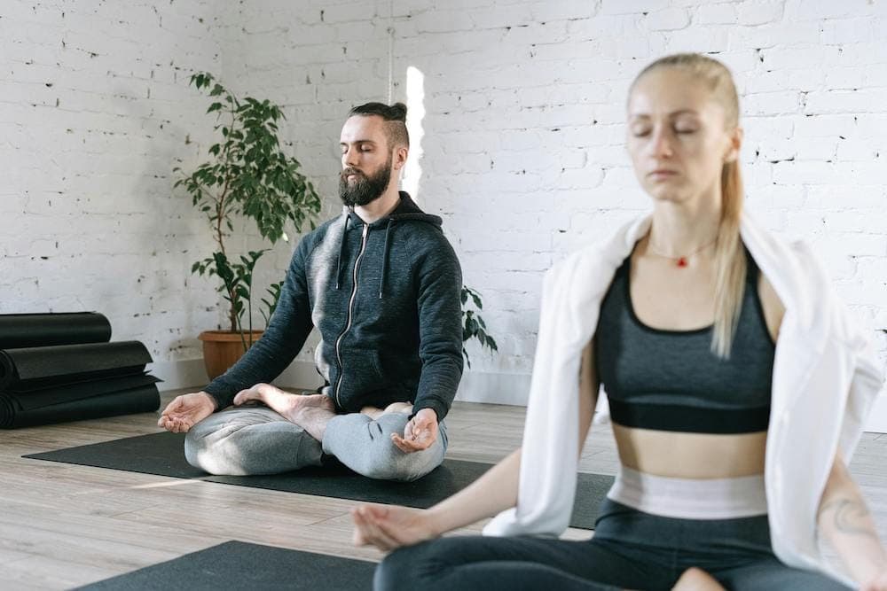 What is plant meditation, how can our wellbeing benefit from it, and where do we start?