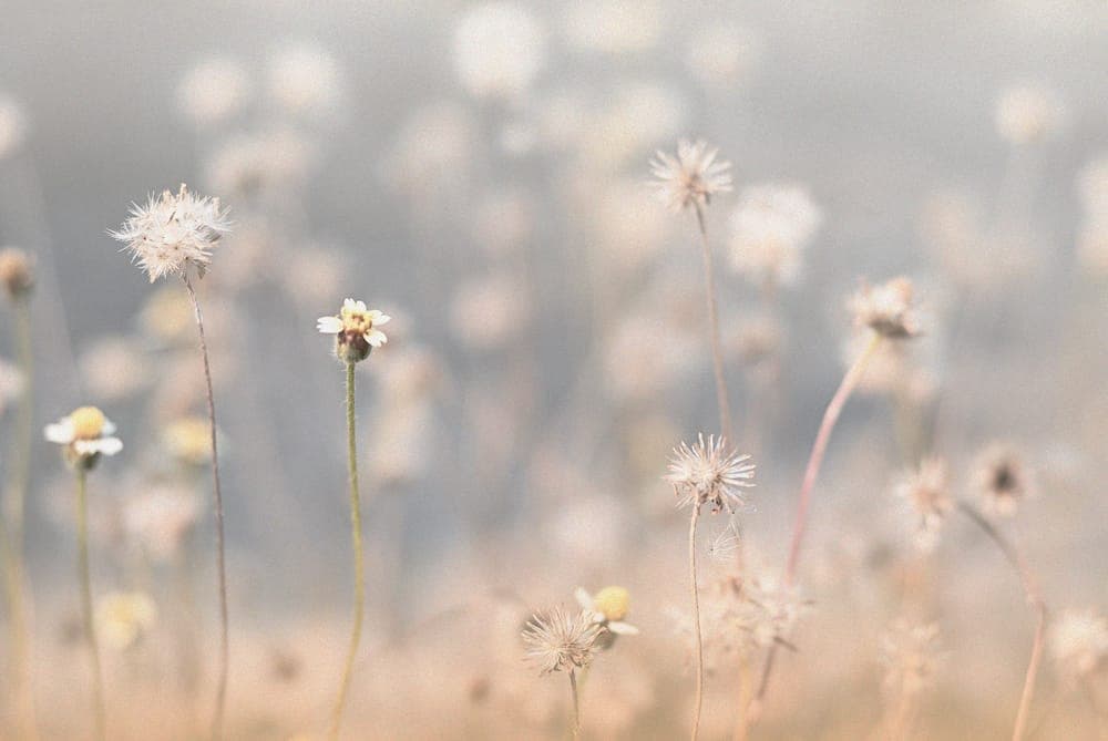 The silent struggle with the trauma of stillbirth
