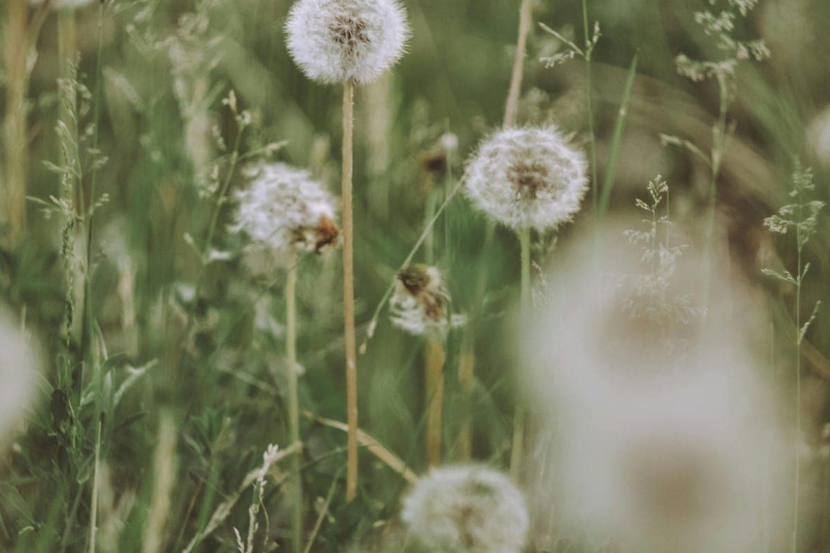 Breathe..jpg