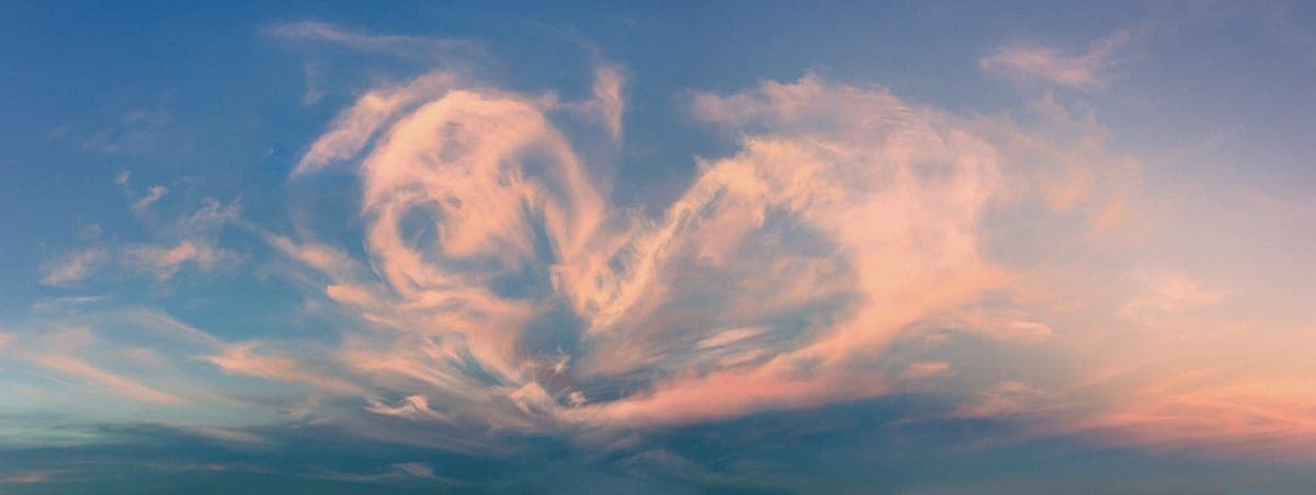 Finding love after bereavement