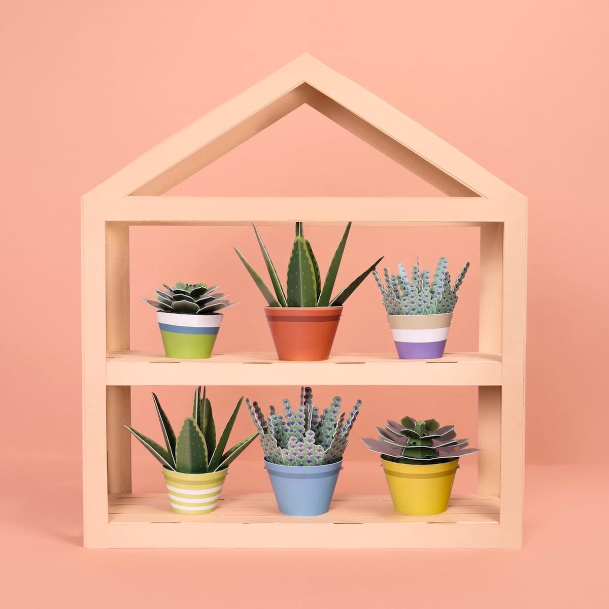 Mini Paper Plant Kit__Lifestyle_Green house_Clockwork Soldier_clockworksoldier co uk (1).jpg