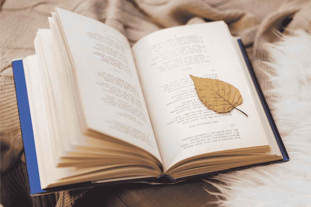 5 science-backed ways that poetry can improve your mental health